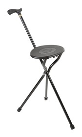 Black Economy Folding Seat Stick
